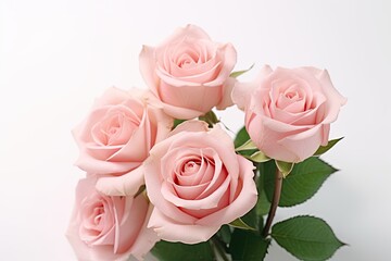 Pink rose flower isolated on white background. Genaretive Ai