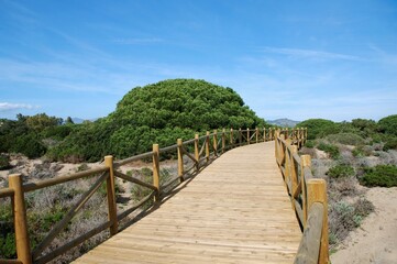 Fototapeta premium Dunas de Artola