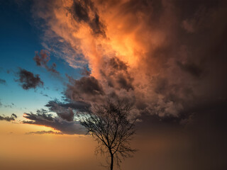 Fototapeta na wymiar orange sunset with tree in backlight