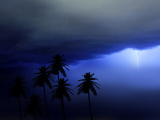 stormy sky with backlit palm trees