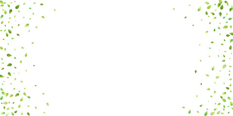 Leaves Green Falling Flying Foliage Leaf Tea Mint