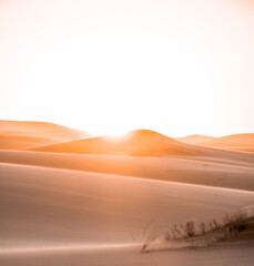 Fototapeta na wymiar Sahara Desert Sunset Dunes