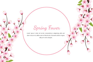 Cherry blossom frame with space for text. Vector illustration.cherry blossom sakura branch isolated on white background. vector illustration