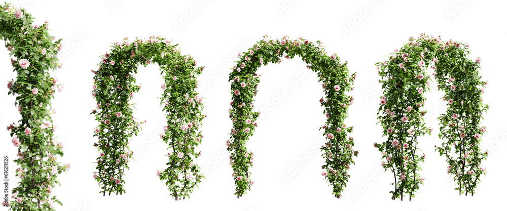 Aufkleber gate made of climbing roses isolated on transparent background. 3d render.