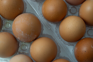 chicken eggs in a plastic container on a white background, fresh organic chicken eggs in a plastic package or egg container