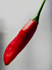 closeup of a chili pepper arranged on a white background.