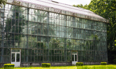 Fototapeta na wymiar a greenhouse