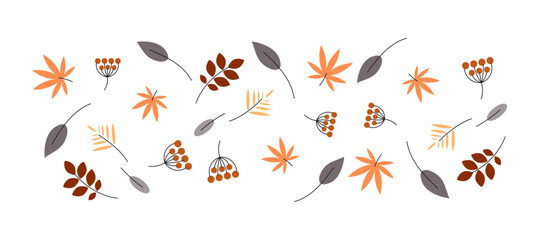 Abstract autumn leaf, autumn elements bundle, different fall leaves. Fall season.