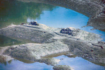 reflection in the lake