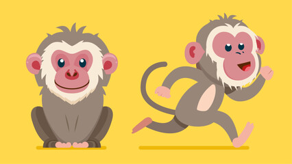 Set of cute wild animals, Baboons, monkey, Safari jungle animals flat vector illustration 