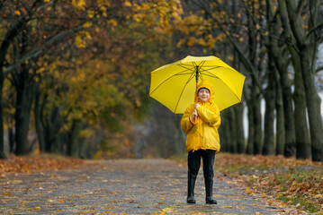 Boy in yellow raincoat with large yellow umbrella walks through the autumn park. Happy child
