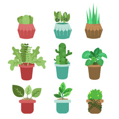 plant and herb icon set. vector potted plant for design. Plant design elements for animated backgrounds and motion graphics