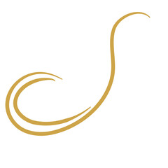 Gold Flourish Swirl Ornament