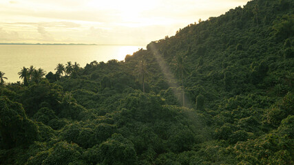 Panoramic aerial drone view of tropical island scenery with lush green forest trees at Tinggi Island or Pulau Tinggi in Mersing, Johor, Malaysia