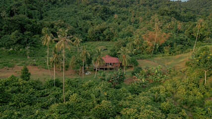 Aerial drone view of lush green island scenery with a single house at Tinggi Island or Pulau Tinggi in Mersing, Johor, Malaysia