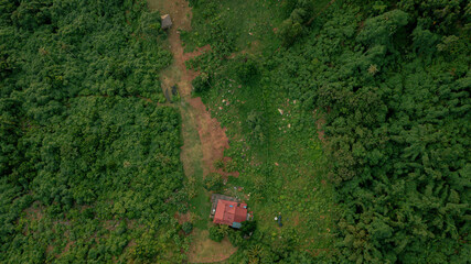 Aerial drone view of lush green island scenery with a single house at Tinggi Island or Pulau Tinggi in Mersing, Johor, Malaysia