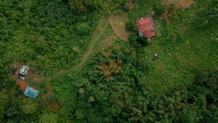 Aerial drone view of lush green island scenery with a single house at Tinggi Island or Pulau Tinggi in Mersing, Johor, Malaysia