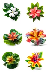 Papier Peint photo Plantes tropicales Colorful tropical flower composition with the leaves on a white background. Generative AI 
