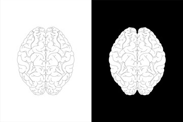 Human brain on white background and black background