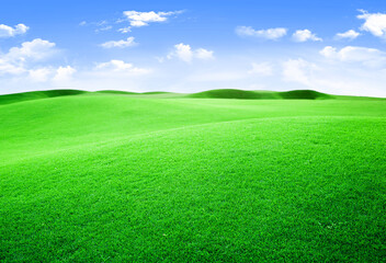 panoramic view of green grass and blue cloudy sky
