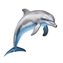 Obraz premium Illustration of a dolphin, PNG transparent background, isolated on white, by Generative AI