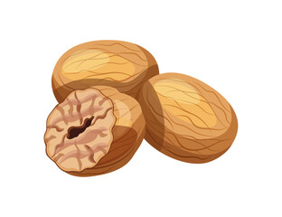 Delicious nutmegs isolated on white background. Vector illustration of a pile of whole and half nutmegs in cartoon style. Nutmeg icon. Aromatic spices. - obrazy, fototapety, plakaty