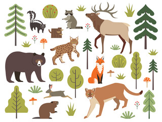 Vector set of North American forest animals, trees, bushes, mushrooms and berries izolated on white background. Vector clipart of American black bear, elk, puma, bobcat, fox, raccoon, skunk and beaver