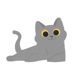 Cute gray cats laying on the floor.