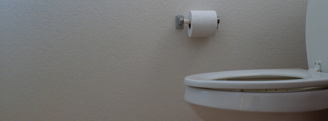 Minimalist panorama of a toilet and toilet paper with everything white 
