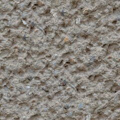 Rough Concrete With Stones Seamless Texture