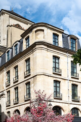 Fototapeta premium Paris, buildings in the Marais, in the center, in a typical street 