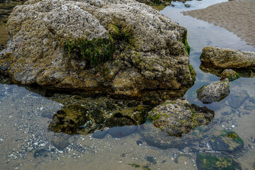 Low tide in front of the Haystack Rock on the Cannon Beach along the Oregon Coast.