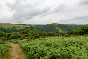 View of Watersmeet valley in Exmoor National Park