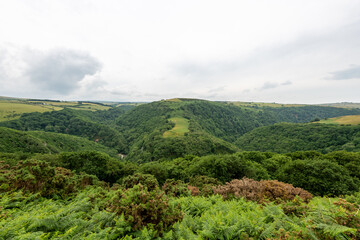 Fototapeta na wymiar View of Watersmeet valley in Exmoor National Park