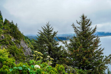 Fototapeta premium Oregon Coast. Ocean, trees, flowers, sky.