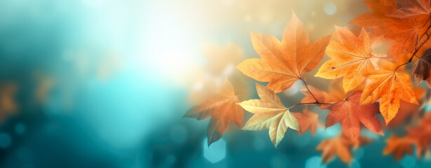 Fototapeta na wymiar Orange and red autumn leaves with bokeh effects on abstract blue background.