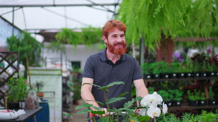 Happy Young Man with Shopping Cart exploring Aisle in Horticulture Store. Male Customer Shopping for Plants at Local Garden Shop