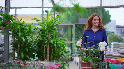 Joyful Woman Selecting Plants and Flowers with Cart in a Flower Shop. Female customer shopping at local business store