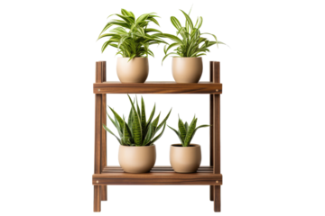 plant stand isolated on a transparent background, generative ai