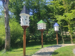 Birdhouse in the forest. House for birds. Animal rights. Freedom. Türkiye. Green. Ecology, nature.