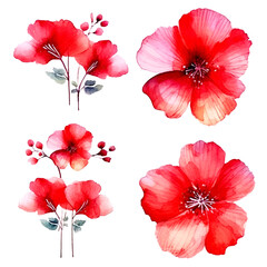 set of red floral watercolor, flower watercolor, leaves watercolor	