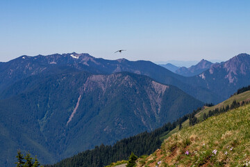 landscape in the mountains