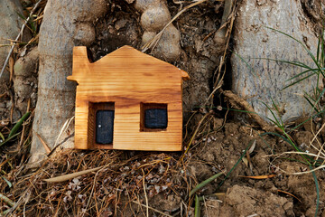 Obraz na płótnie Canvas mini wooden house model on soil. Planning to buy property. Choose what's the best concept