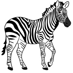 Fototapeta na wymiar Vector colorful cartooned illustration for children: cute zebra horse