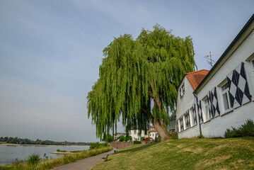 Rees am Niederrhein