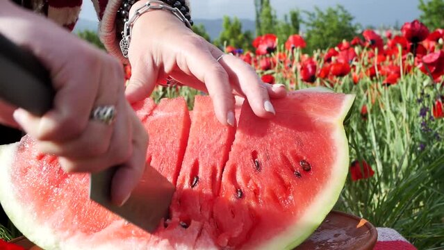 Female hands with bracelets and rings on her fingers uses a large knife to cut a ripe red watermelon into even pieces. Slicing watermelon in a field with red flowering poppies in the mountains