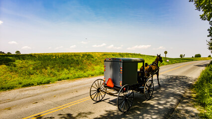 View of An Amish Horse and Buggy Traveling on a Rural Road Thru Farmlands on a Sunny Spring Day