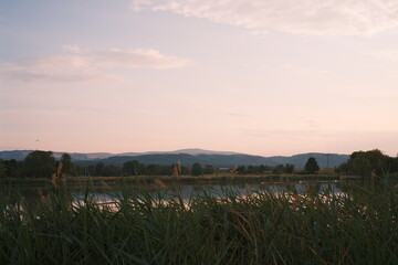 Harzlandschaft mit Brocken im Hintergrund. Warmer Sommerabend