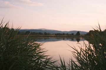 See zur Dämmerung. Vordergrund Schilf und im Hintergrund der Brocken