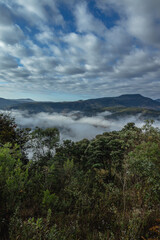 Floresta com neblina na cidade de Conceição do Mato Dentro, Estado de Minas Gerais, Brasil